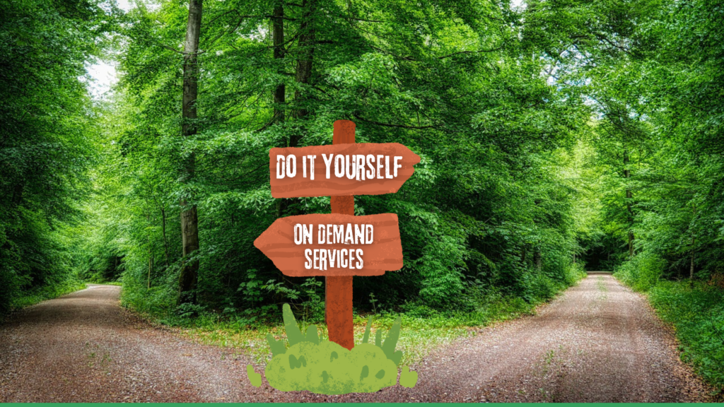 Image by Albrecht Fietz from Pixabay